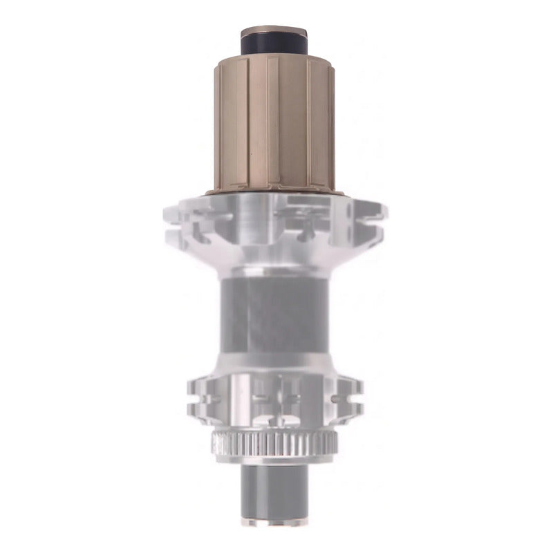 Driver Body Para Maza Rujixu 12 Pasos Hg 6 Trinquetes Bronce